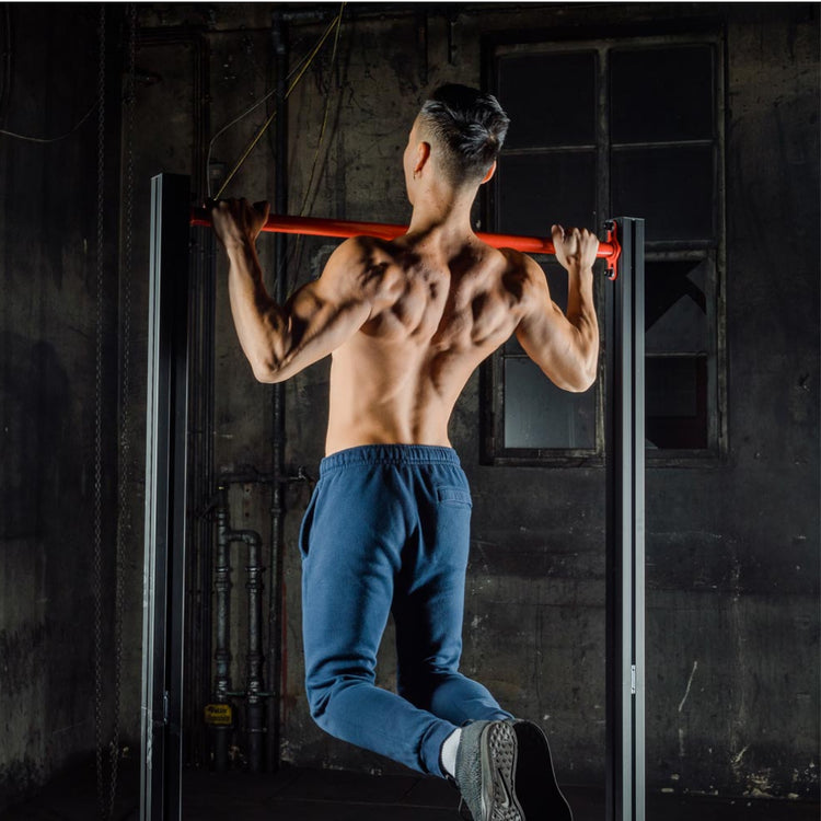 Beginner Calisthenics Workout Calisthenics No Pull Up Bar