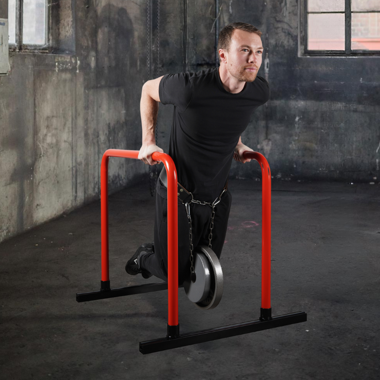 HIGH PARALLETTES